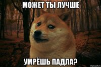 может ты лучше умрёшь падла?