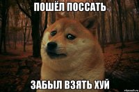 пошёл поссать забыл взять хуй