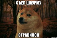 съел шаурму отравился