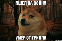 ушел на войну умер от гриппа