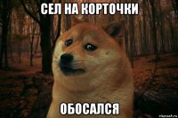 сел на корточки обосался