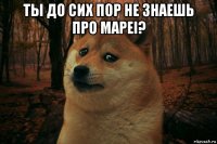 ты до сих пор не знаешь про mapei? 