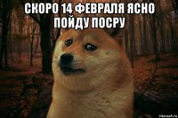 скоро 14 февраля ясно пойду посру 