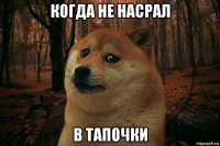 когда не насрал в тапочки