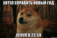 хотел справить новый год уснул в 23:59