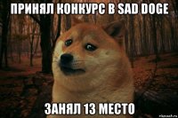 принял конкурс в sad doge занял 13 место