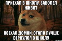 приехал в школу, заболел живот поехал домой, стало лучше вернулся в школу