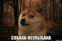  собака-неулыбака