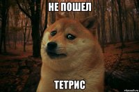 не пошел тетрис