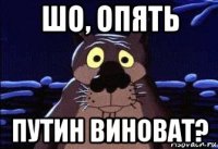шо, опять путин виноват?