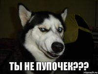 ТЫ НЕ ПУПОЧЕК???