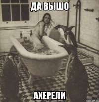 да вышо ахерели