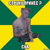 струну принёс ? ска