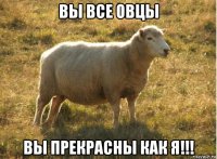 вы все овцы вы прекрасны как я!!!