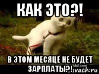 как это?! в этом месяце не будет зарплаты?!