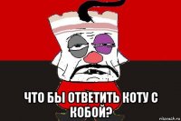  что бы ответить коту с кобой?