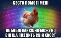 сеста помогі мені не бобік канєшно може но він ща пиздить свій хвост