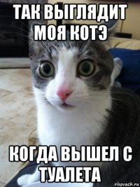 так выглядит моя котэ когда вышел с туалета