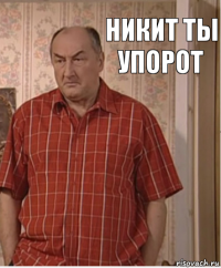 Никит Ты упорот