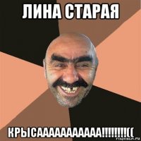 лина старая крысааааааааааа!!!!!!!!((