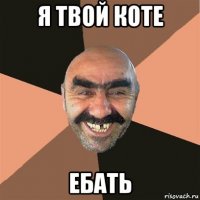 я твой коте ебать