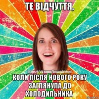 те відчуття, коли після нового року заглянула до холодильника