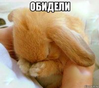 обидели 