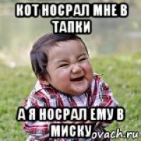 кот носрал мне в тапки а я носрал ему в миску
