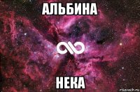 альбина нека