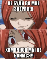 не буди во мне зверя!!!!! хомячков мы не боимся!!