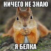 ничего не знаю я белка