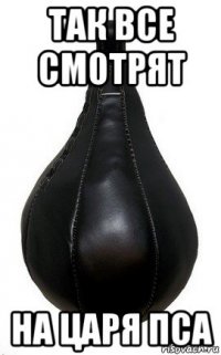так все смотрят на царя пса