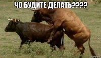 чо будите делать???? 