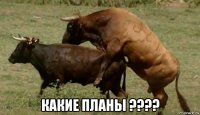  какие планы ????