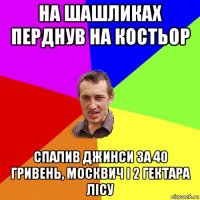 на шашликах перднув на костьор спалив джинси за 40 гривень, москвич і 2 гектара лісу