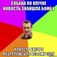 собака по клічке новость знайшла бомбу новость бистро розлетілась по всьому селу