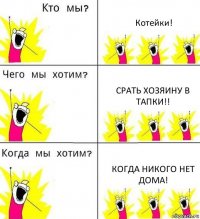 Котейки! Срать хозяину в тапки!! Когда никого нет дома!