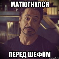 матюгнулся перед шефом