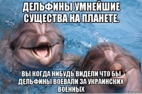 дельфины умнейшие существа на планете. вы когда нибудь видели что бы дельфины воевали за украинских военных