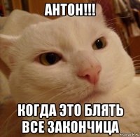 антон!!! когда это блять все закончица