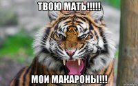 твою мать!!!!! мои макароны!!!