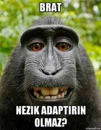 brat nezik adaptirin olmaz?