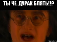 ты че, дурак блять!!? 