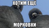 хотим ещё морковки