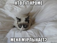 кто тут кроме меня мурлыкает?