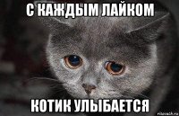 с каждым лайком котик улыбается