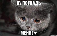 ну погладь меня! ♥