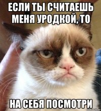 если ты считаешь меня уродкой, то на себя посмотри