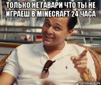 только не гавари что ты не играеш в minecraft 24 часа 