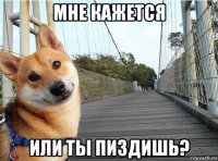 мне кажется или ты пиздишь?
